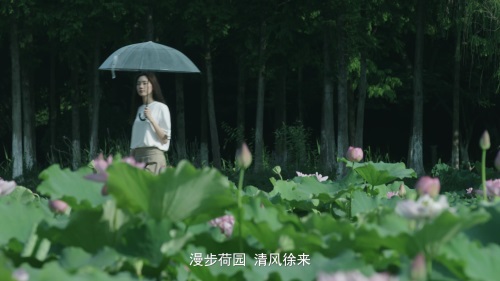 秋白書苑大成館《荷你在一起》宣傳片